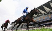 【凱旋門賞注目馬】1勝馬が4か月で世界ランキングトップへ…　英ダービー馬が魅せるシンデレラストーリー