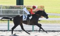 【中京4R新馬戦結果】クラウンプライドが6馬身差突き放して新馬勝ち