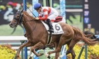 【中山5R新馬戦結果】ダノンティアラが押し切ってデビュー勝ち