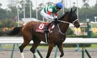 【スプリンターズS・馬体重】レシステンシアは506kg(-2)、ダノンスマッシュは470kg(+1)