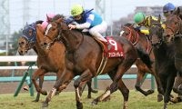 【京都大賞典登録馬】アリストテレスなど14頭