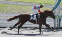 【新馬/中京3R】リメイクが8馬身差圧勝