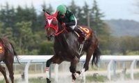 【金沢・お松の方賞結果】ニュータウンガールが抜け出して重賞7勝目