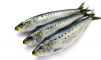 いわしの驚くべき効果効能とおいしい食べ方