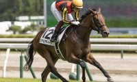 【サウジアラビアRC展望】2歳の出世レース、あの馬の連勝を期待したい