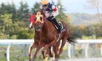 【門別競馬情報】遠征馬ら大活躍の流れに乗って金沢でも重賞制すか門別2歳勢！ エンリル＆オンストロン「第23回兼六園ジュニアカップ」/地方競馬情報