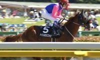 【門別競馬情報】メイショウミズカゼ、スマートアヴァロン、マリノエクスプレスら元JRA勢の追い込みが決まるか「レイデオロ・プレミアム」/地方競馬情報