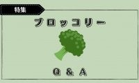 【ブロッコリーQ&A】どんな栄養がある？筋トレやダイエットにいいってホント？