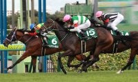 パッシングスルーが競走馬登録抹消