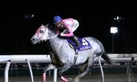 【門別競馬情報】道営記念2連覇へ王手なるかクインズサターン！雪辱期すルールソヴァール、赤レンガ記念の再現ねらうリンノレジェンドらにも注目「第54回瑞穂賞H2」/地方競馬情報