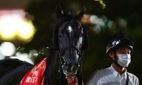 【地方競馬】大井・東京盃の売得金は9億1988万9600円で対前年比115%超