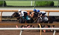 【JRA新馬戦】5.6億円ホース・ショウナンアデイブ、レイパパレの半妹レイフルなどがデビュー