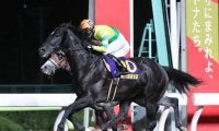 【東京盃回顧】鬼門の大井1200mで完勝サクセスエナジー/斎藤修