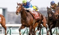 【京都大賞典出走馬・騎手確定】アリストテレス＆デムーロ騎手、ヒートオンビート＆戸崎圭太騎手など14頭
