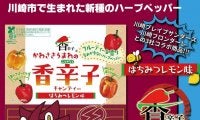川崎ブレイブサンダース、川崎フロンターレと地元老舗飴屋のコラボで川崎の魅力を発信する香辛子キャンディーが大好評