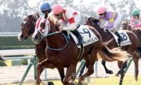 今年の京都大賞典は「阪神／芝2400ｍ」のコース実績と血統で３頭をピックアップ