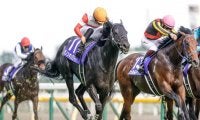 【毎日王冠予想】1人気が強い！ 3-4歳馬に注目！/JRAレース展望