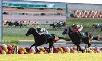 クラージュゲリエが競走馬登録抹消