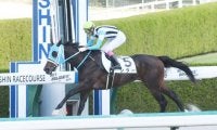 【阪神4R新馬戦結果】ホッコータルマエ産駒シダーが押し切って快勝