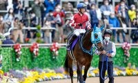 【東京ハイジャンプ想定】JGI・7勝馬オジュウチョウサン、平地障害ダブル重賞Vアサクサゲンキなど10頭