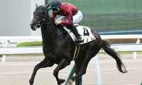 【JRA】新潟12Rで競走中止のゲノムは予後不良