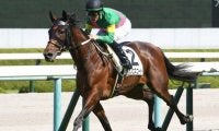 【阪神5R新馬戦結果】M.デムーロ騎手騎乗タガノエスコートが押し切りV