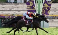 【毎日王冠】3歳シュネルマイスターが勝利！レースはG1ファンファーレで行われる