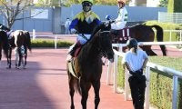 【勝負の分かれ目 京都大賞典】藤岡康太騎手の完璧な騎乗でダービー馬マカヒキが復活