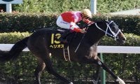【グリーンチャンネルC】ヘリオスがオープン2勝目