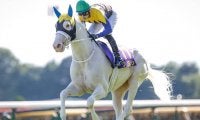 JRAはGI秋華賞、地方はJpnIマイルCS南部杯/今週の競馬界の見どころ