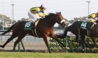 【府中牝馬S登録馬】マジックキャッスルなど21頭
