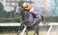【名古屋・秋の鞍結果】地元のトミケンシャイリが逃げ切って完勝