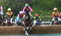 【東京ハイジャンプ想定騎手】アサクサゲンキは熊沢重文騎手、オジュウチョウサンは石神深一騎手
