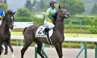 【門別競馬情報】今週も他地区重賞での遠征馬活躍に期待！今夜メイン12Rは確たる中心不在で好配当の期待も十分「北海道コンサドーレ札幌特別」/地方競馬情報