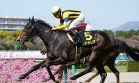 今年の秋華賞は「忘れな草賞」の成績に注目。血統も十分な２頭に激走の気配
