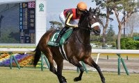 【府中牝馬S「見逃せない調教師」ベスト3】○○調教師の管理馬は、このコースでの単勝ベタ買いで単勝回収率105％！