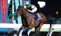 【JRA】クリソベリルが13日付で競走馬登録を抹消、GI級競走を4勝