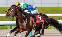 【次走】京都大賞典2着のアリストテレスはジャパンCを目標