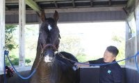 種牡馬の道が叶わずとも「絶対に処分などせずに余生をここで」　ディープインパクト全弟・オンファイアの再出発