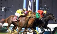 【川崎・サルビアカップ結果】山崎誠士騎手騎乗の米国産馬カルフレグランスが勝利