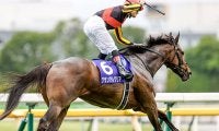 【天皇賞秋 想定】グランアレグリアはルメール騎手、ワールドプレミアは岩田康誠騎手