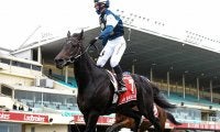【海外競馬】ジャパンC登録のサードラゴネットが安楽死、昨年のコックスプレートなど豪G1・2勝