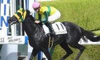 JRA初戦も難なく突破！大井から移籍の3歳牝馬ディアノイアがデビュー3連勝