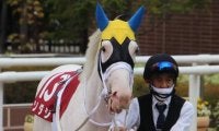 【秋華賞予想】今年は阪神競馬場で行われる牝馬三冠路線の最終戦