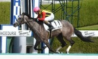 【阪神4R新馬戦結果】デリカダが2頭の一騎打ちから抜け出す