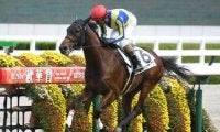 【阪神5R新馬戦結果】8番人気セルバーグが抜け出して快勝