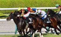 【西宮S】良血ジェラルディーナが3連勝を決める