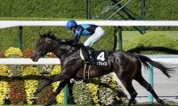 【もみじS】カジュフェイスが逃げ切りで連勝
