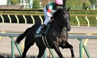 【先週のJRA抹消馬】ダービー馬レイデオロの半弟アブソルティスモ、銀蹄Sを制したロードグラディオなど