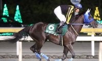 【門別競馬情報】地元1000mなら一枚上の速力で制圧かアザワク！先行力あるグレイトダージー、ダノンチャンスの踏ん張り、重賞勝ち馬カツゲキライデンらの差し脚も注目「さまにオープン」/地方競馬情報